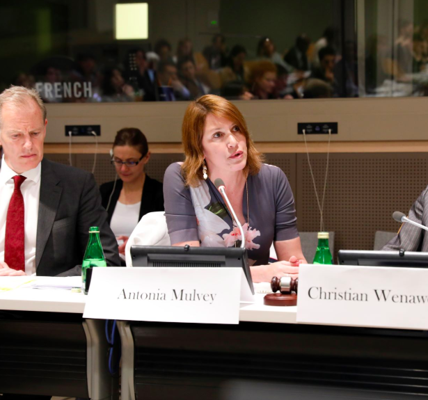 LAW Executive Director speaks at UN Women Event in New York
