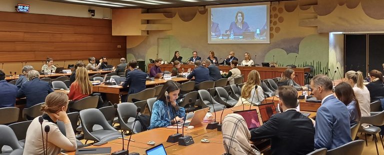 HRC57: LAW and Syrian Forum USA call for States Parties to refer situation in Jordan/Syria to ICC