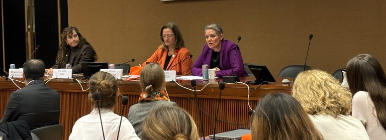 16 Days of Activism: Confronting Gender-Based Violence in Conflict and Humanitarian Settings 