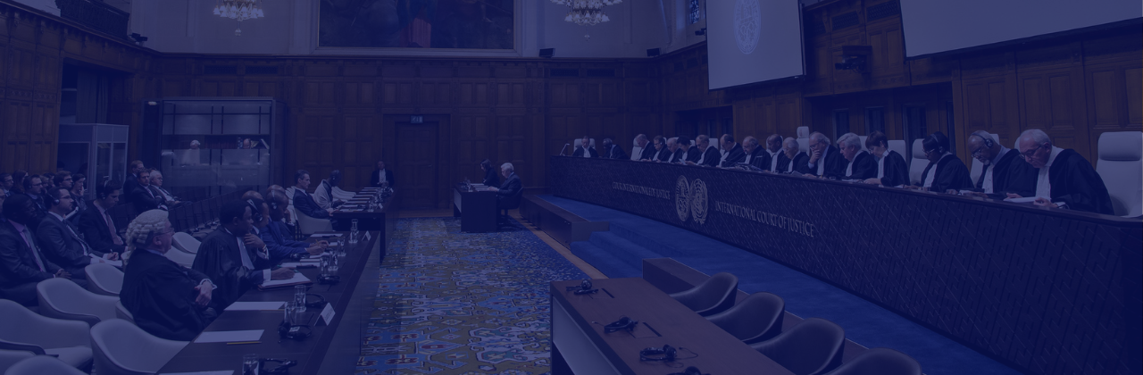 Strategic Litigation